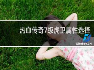 热血传奇7级虎卫属性选择