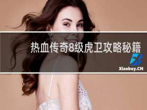 热血传奇8级虎卫攻略秘籍