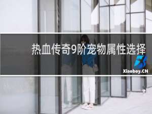 热血传奇9阶宠物属性选择