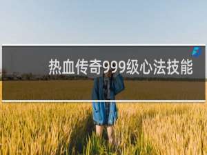 热血传奇999级心法技能