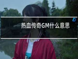 热血传奇GM什么意思