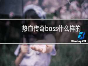 热血传奇boss什么样的