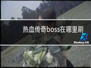 热血传奇boss在哪里刷