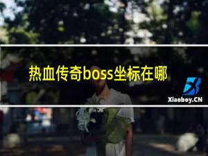 热血传奇boss坐标在哪