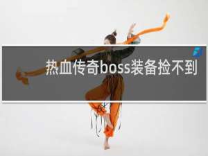 热血传奇boss装备捡不到