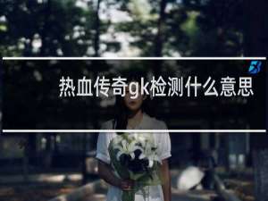 热血传奇gk检测什么意思