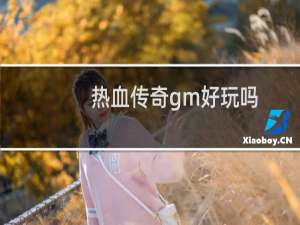 热血传奇gm好玩吗