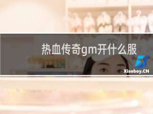 热血传奇gm开什么服