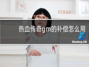 热血传奇gm的补偿怎么用