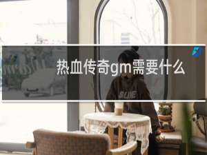 热血传奇gm需要什么