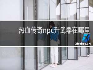 热血传奇npc升武器在哪里