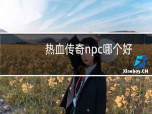 热血传奇npc哪个好