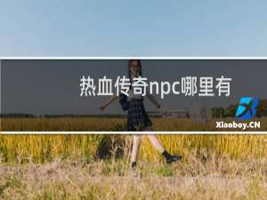 热血传奇npc哪里有