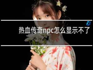 热血传奇npc怎么显示不了