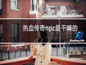 热血传奇npc是干嘛的