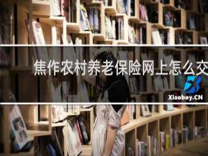 焦作农村养老保险网上怎么交