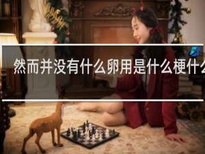 然而并没有什么卵用是什么梗什么梗
