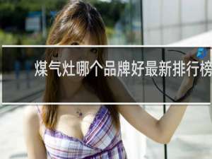 煤气灶哪个品牌好最新排行榜