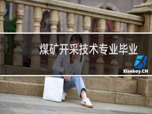 煤矿开采技术专业毕业论文（煤矿开采技术）