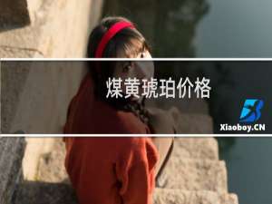煤黄琥珀价格