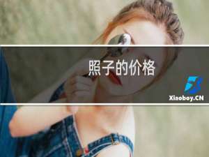 照子的价格