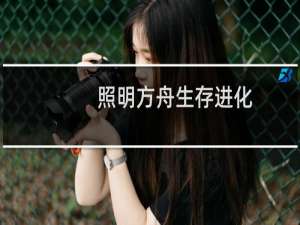 照明方舟生存进化