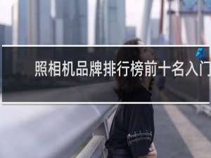 照相机品牌排行榜前十名入门
