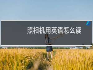 照相机用英语怎么读