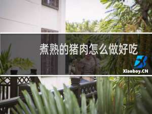 煮熟的猪肉怎么做好吃