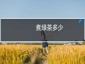 煮绿茶多少