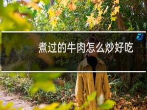 煮过的牛肉怎么炒好吃