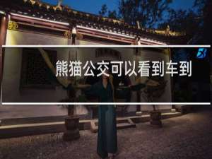 熊猫公交可以看到车到哪了吗
