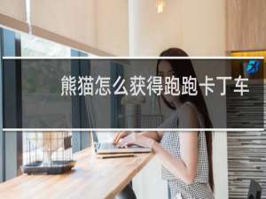 熊猫怎么获得跑跑卡丁车