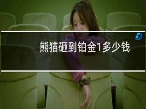 熊猫砸到铂金1多少钱