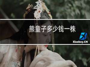 熊童子多少钱一株