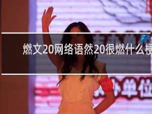 燃文 网络语然 很燃什么梗