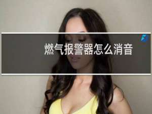 燃气报警器怎么消音