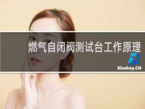 燃气自闭阀测试台工作原理