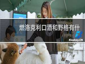 燃洛克利口酒和野格有什么区别