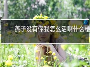 燕子没有你我怎么活啊什么梗，燕子没有你我怎么活啊是什么意思？什么梗