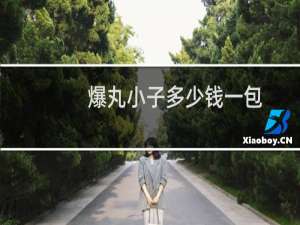 爆丸小子多少钱一包