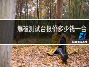 爆破测试台报价多少钱一台