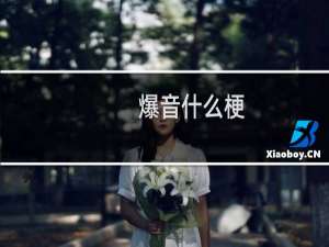 爆音什么梗？爆音是什么意思什么梗