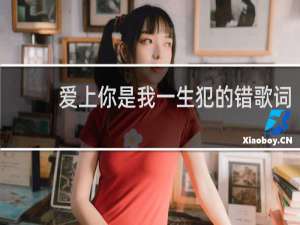 爱上你是我一生犯的错歌词