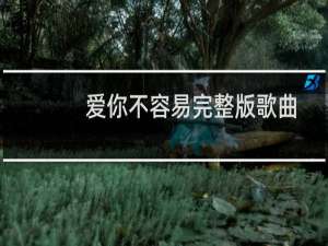 爱你不容易完整版歌曲（爱你不容易）