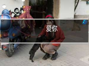 爱你，老妈什么梗-「鲸吼社区」