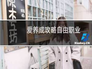 爱养成攻略自由职业