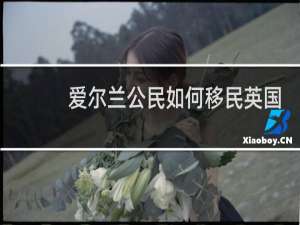 爱尔兰公民如何移民英国