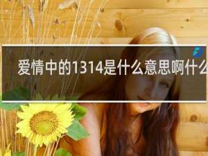 爱情中的1314是什么意思啊什么梗