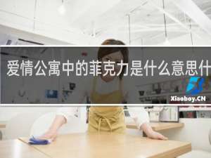 爱情公寓中的菲克力是什么意思什么梗